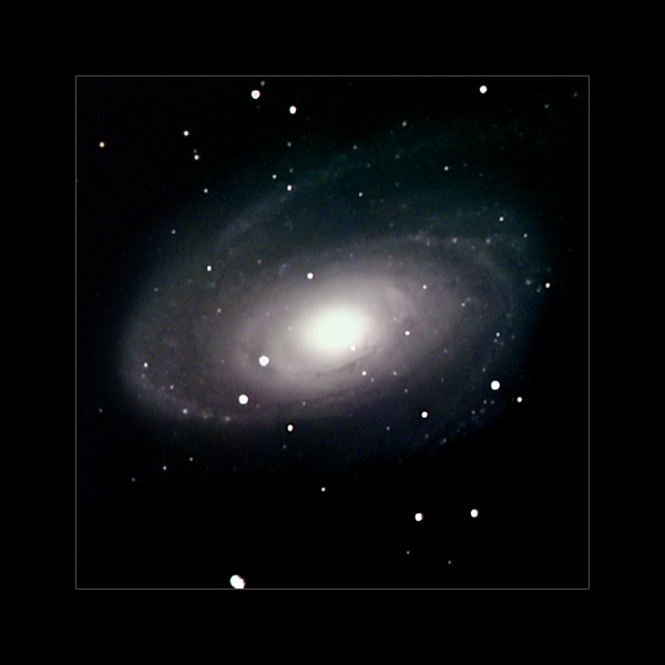 M81