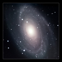 M81
