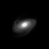 M81