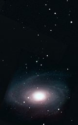 M81