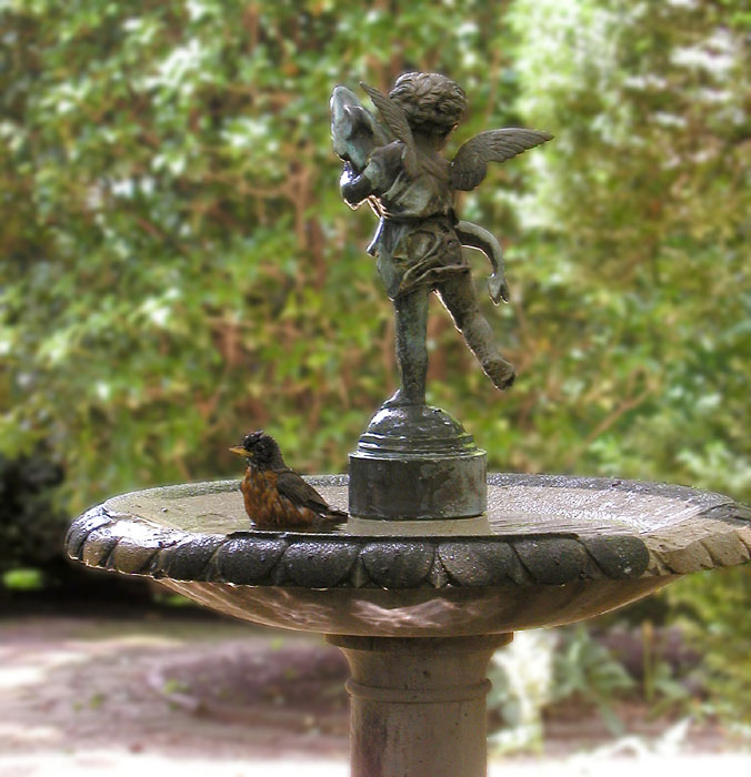 Birdbath