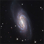 NGC 2903 by Chuck Domarcki