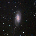 NGC 2903 by Mark Sibole