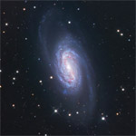 NGC 2903 by Robert Gendler