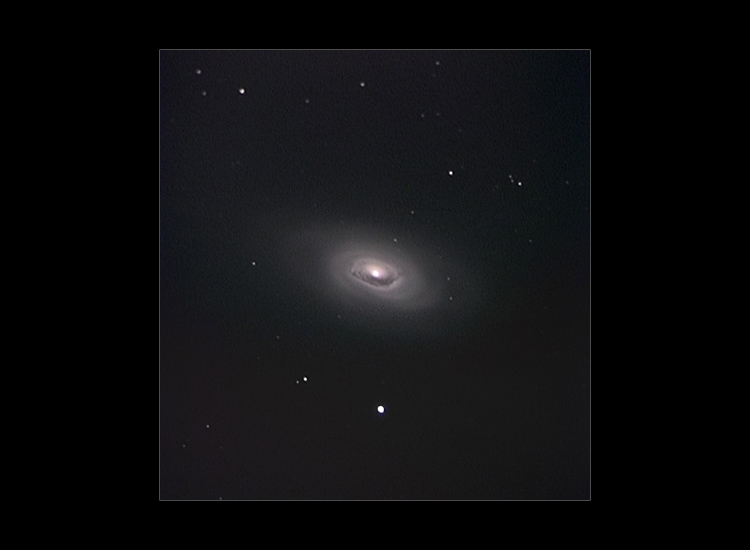 M64