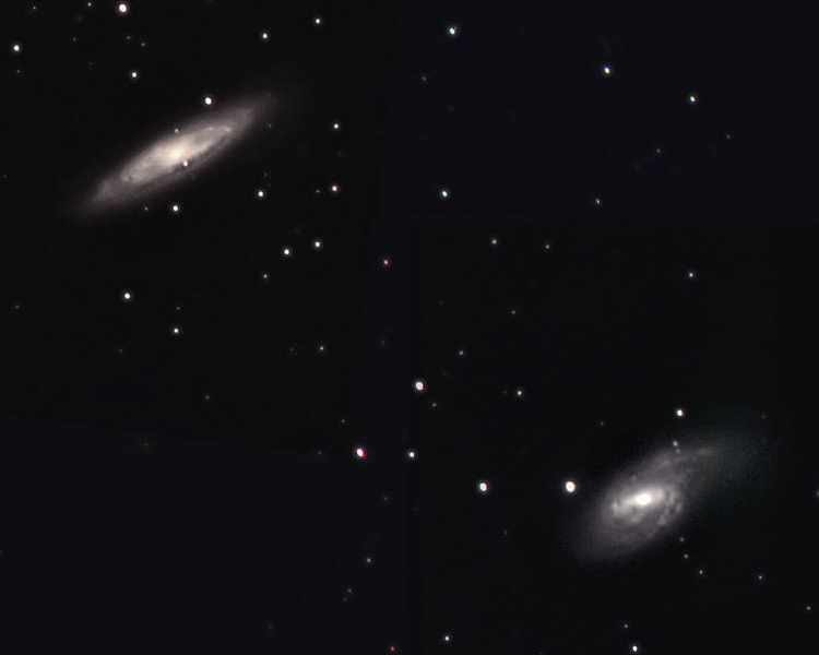 M65 and M66