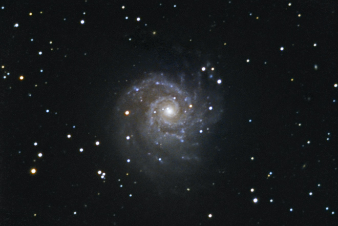 M74