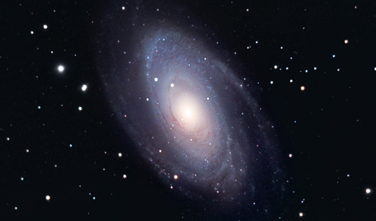 M81