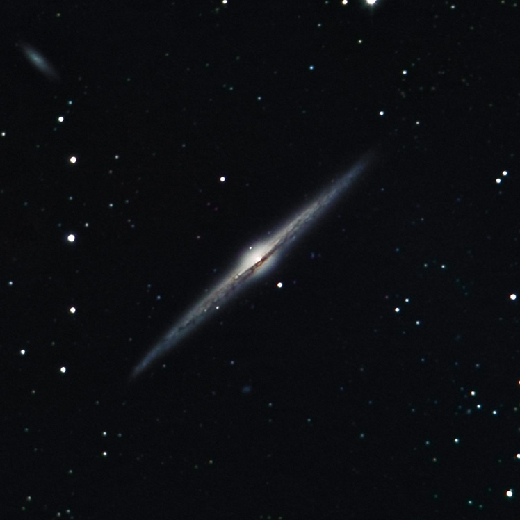 NGC 4565