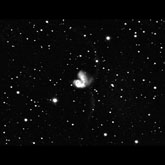 Arp 244
