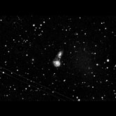 Arp 271