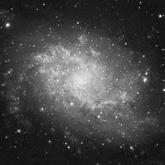 M33