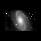 M81