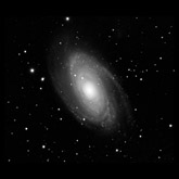 M81