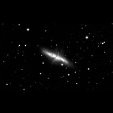 M82