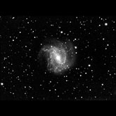 M83