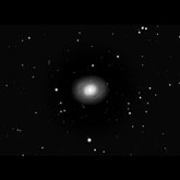 M94