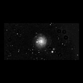 NGC 3344