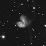 Arp 244