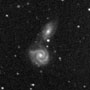 Arp 271