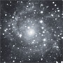 IC 342
