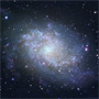 M33