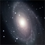 M81