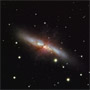 M82