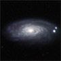 M88
