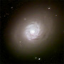 M94
