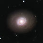 M94