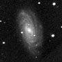 NGC 3953