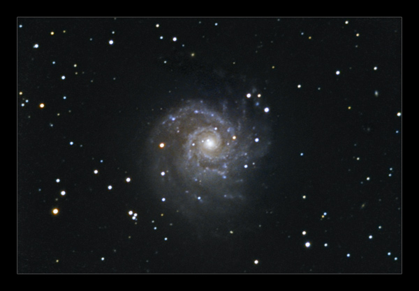 M74